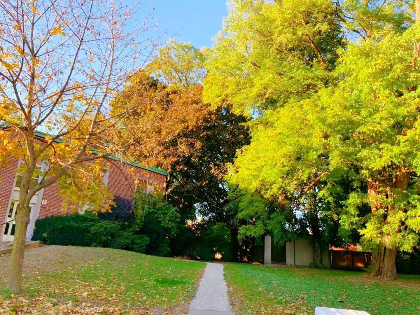 Leaside Garden Guesthouse Toronto Luaran gambar
